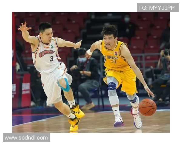 北京篮球队总决赛心理素质分析与表现评估