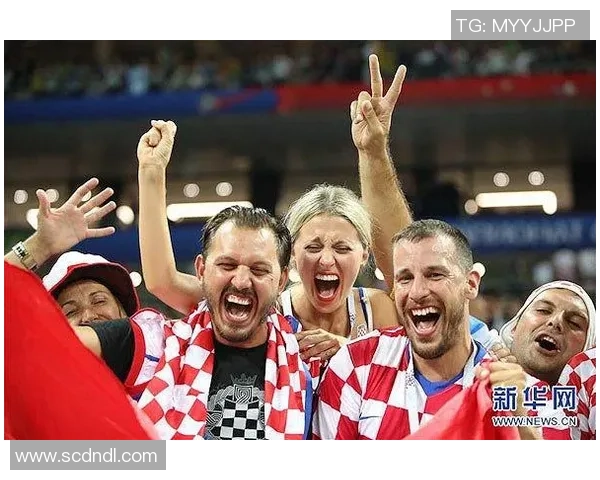 杨芳专访揭秘足球成功背后的秘密与策略解析